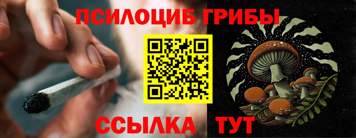 Псилоцибиновые грибы Cubensis  Вход с VPN  Реж 